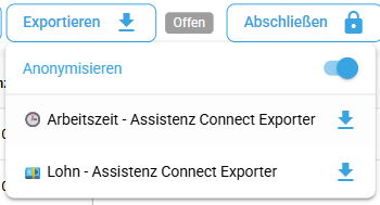 Anonymisierter Monatszeit-Export